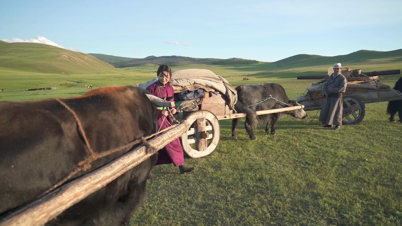 Famiglia nomade mongola che prepara un carro trainato da yak nella steppa
