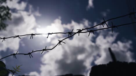 the barbed wire on the fence is blocking the way. a web is visible on the surface of the wire