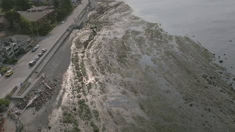 Luftüberführung-Von-Schlammigen-Stränden-Mit-Kleinen-Wasserbächen-überall-In-Alki-Point-Seattle,-Washington