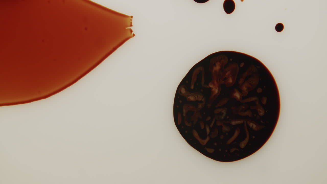 макроснимок маленькой темной ячейки, плавающей на молочном веществе