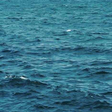 pond surface background