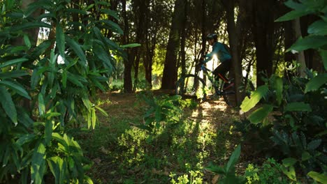 bicicleta de montaña femenina cabalgando en el bosque