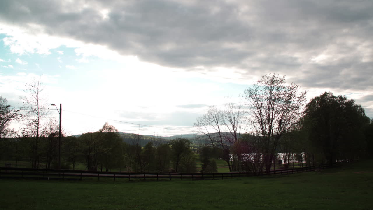 hay una hermosa vista de un jardín