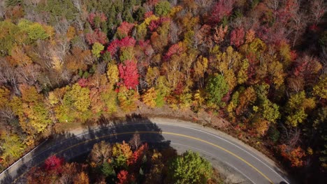 aerial view of autumn foliage of white mountain national forest new hampshire