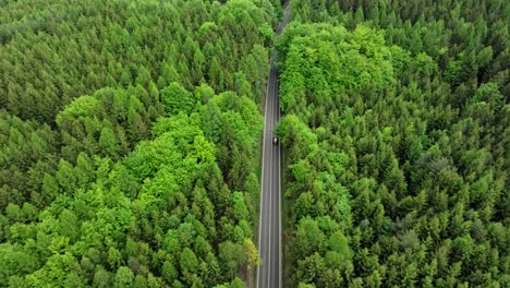 aerial view of a dense forest full of greenery with a road on which cars travel. drone shot
