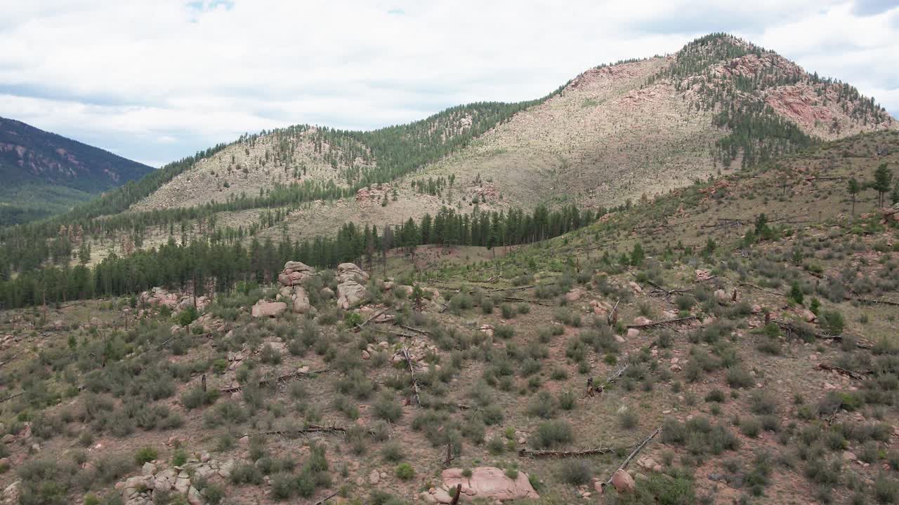 Aerial view flying over a remote mountain area that was previously burned in a forest fire and is now recovering. Filmed in the Pike National Forest, Colorado