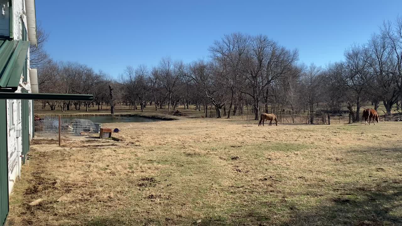 granja de nueces con caballos en la zona rural de oklahoma