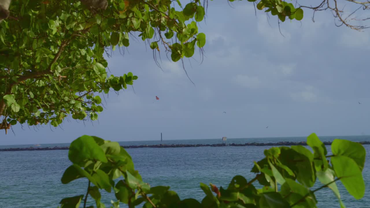 A calm blue ocean stretches to the horizon, framed by lush tropical foliage under a bright sky.