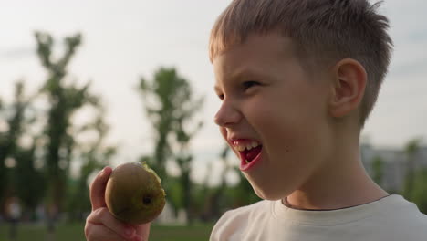 young boy eating pear under sunny summer sky in park, closeup profile, enjoying fresh fruit, background trees and relaxed people, natural light highlighting healthy snack moment