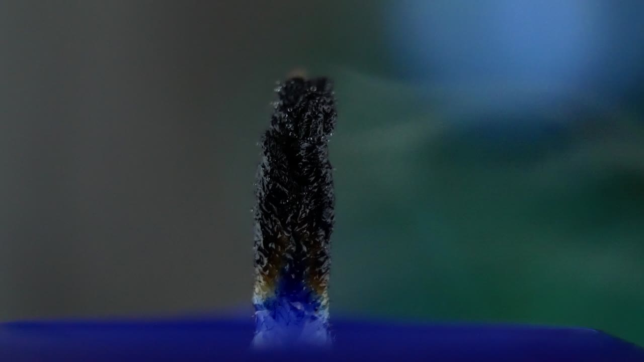 캔들위크에 파란 불이 타고 있습니다.