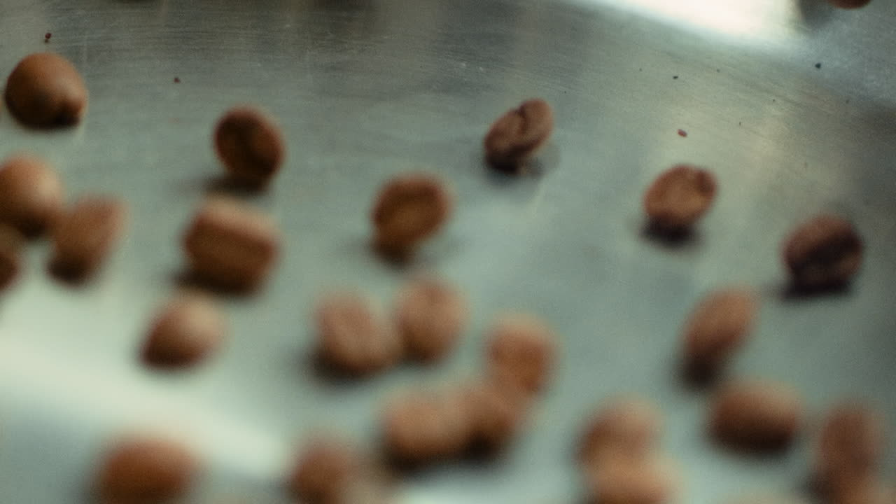 Closeup coffee seeds tossing on metal pan in slow motion. Mixing roasted seeds