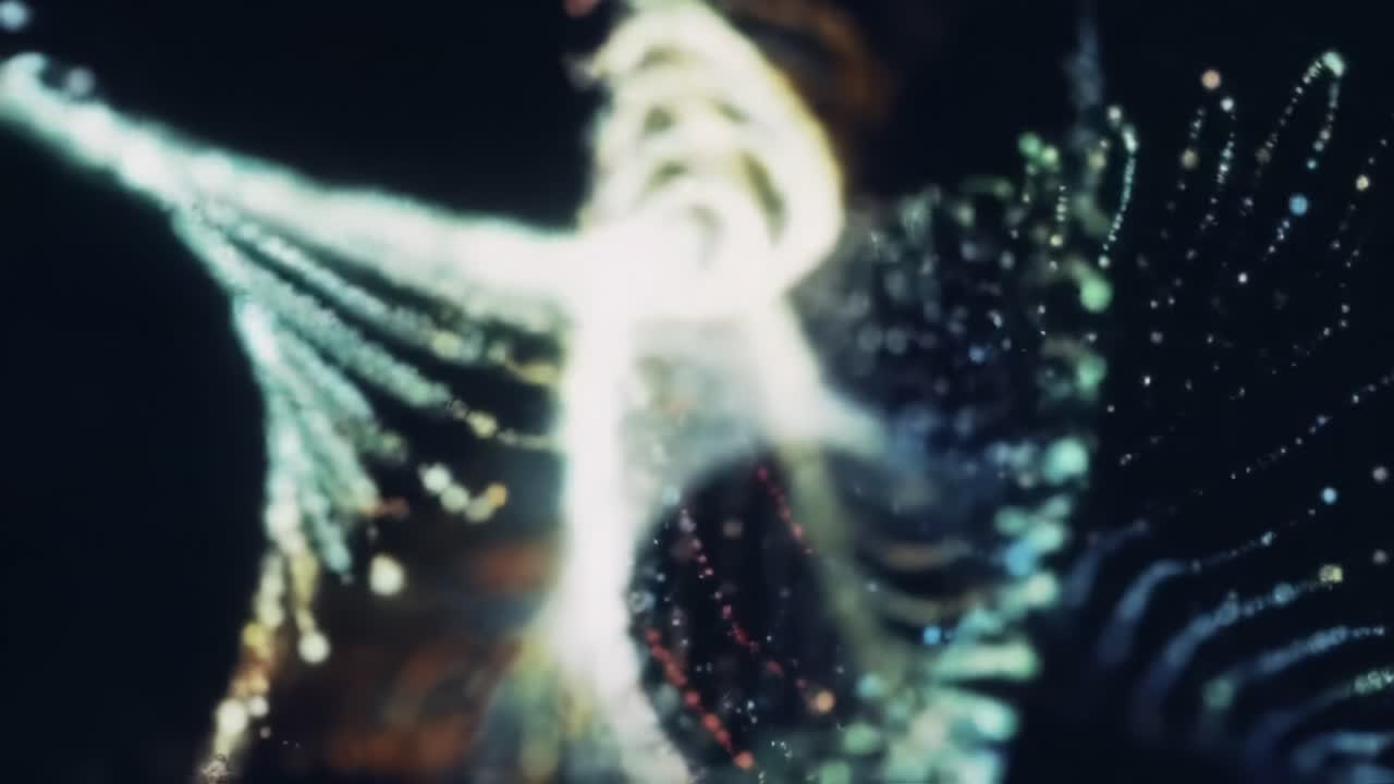 A mesmerizing exploration of dynamic swirling patterns that blend light and motion, creating an ethereal visual experience filled with intricate designs and vibrant colors