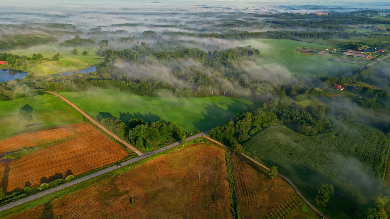 안개 가 가득 한 아침 에 안개 가 은  들, 울창 한 숲 들, 시골 도로 들 이 있는 라트비아 시골 의 공중 풍경