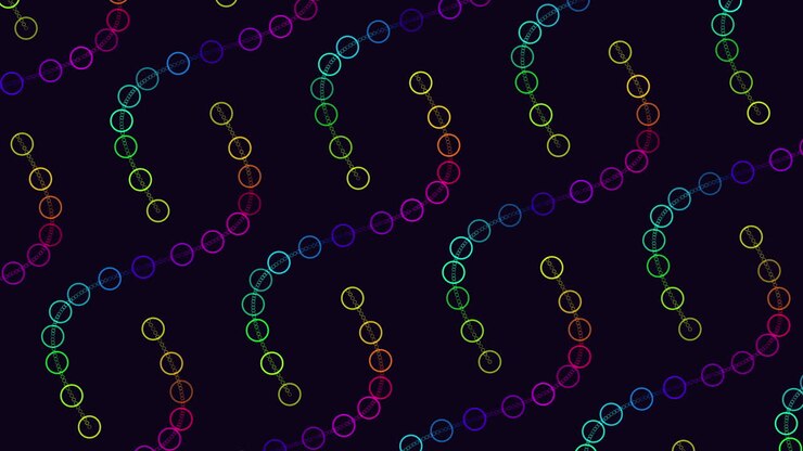 A vibrant arrangement of circular colored patterns on a black backdrop creates an intriguing and dynamic visual display
