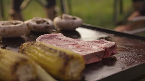 poner bistec entre verduras en una barbacoa al sol de la tarde