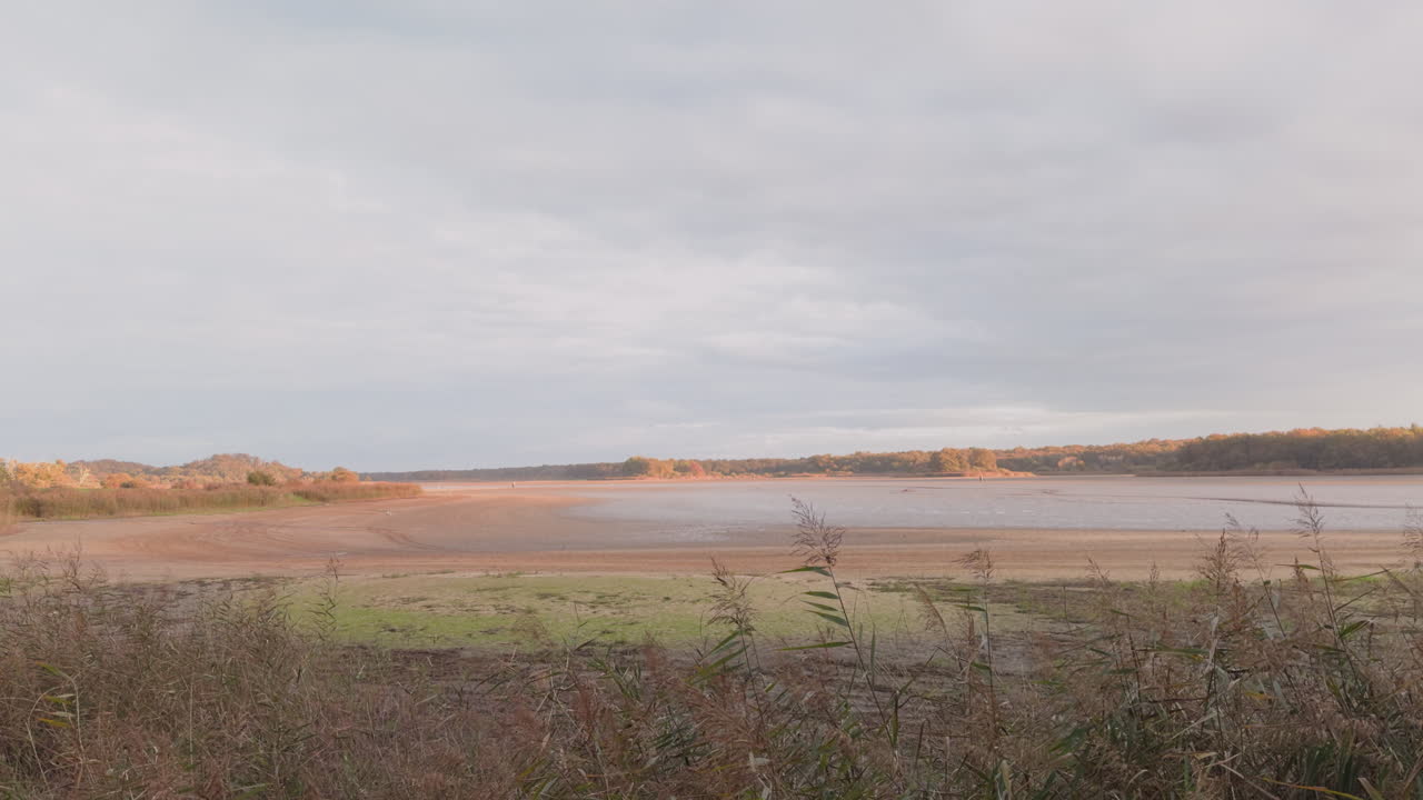 A scenic pond in La Brenne, France, with wetlands and traditional fish farming in autumn light
