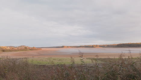 a scenic pond in la brenne, france, with wetlands and traditional fish farming in autumn light