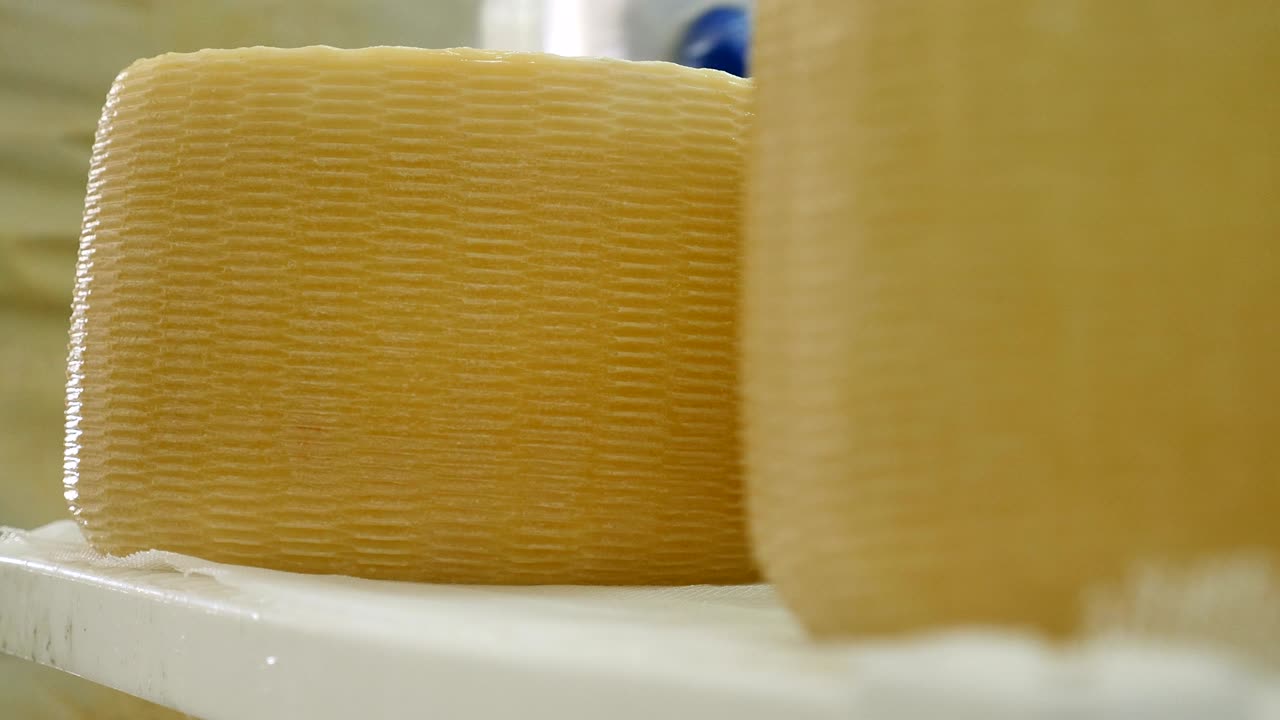 making cheese in factory