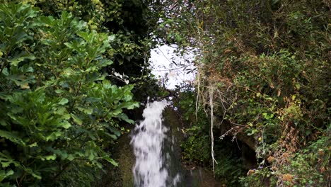 Pequeño-Pero-Poderoso-Arroyo-De-Cascada,-Vista-De-Cerca