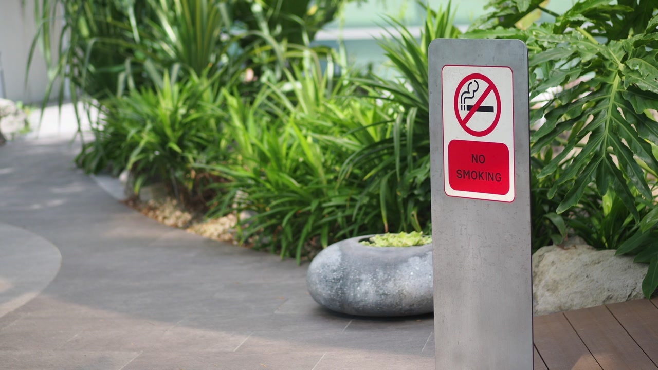 Clear No Smoking Sign Posted in a Lush Green Park