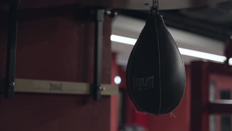 boxing punching bag