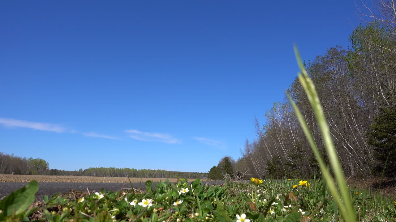 Serene Spring Countryside Road