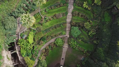 Absenken-Einer-Luftaufnahme-Einer-Doline-In-Australien,-Die-In-Einen-Geheimen-Garten-Verwandelt-Wurde