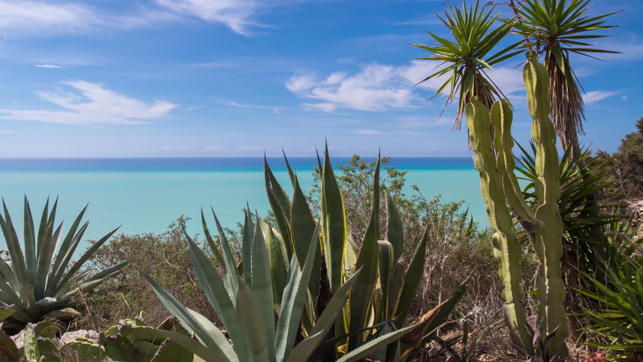 시칠리아 cactustl 4k 02