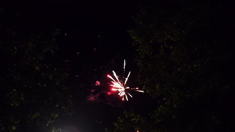 colorful fireworks scene in slow motion surrounded by trees at night