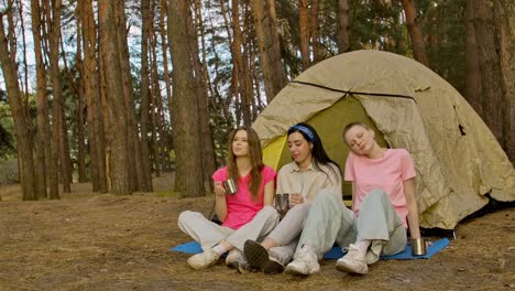 Three friends camping in the forest