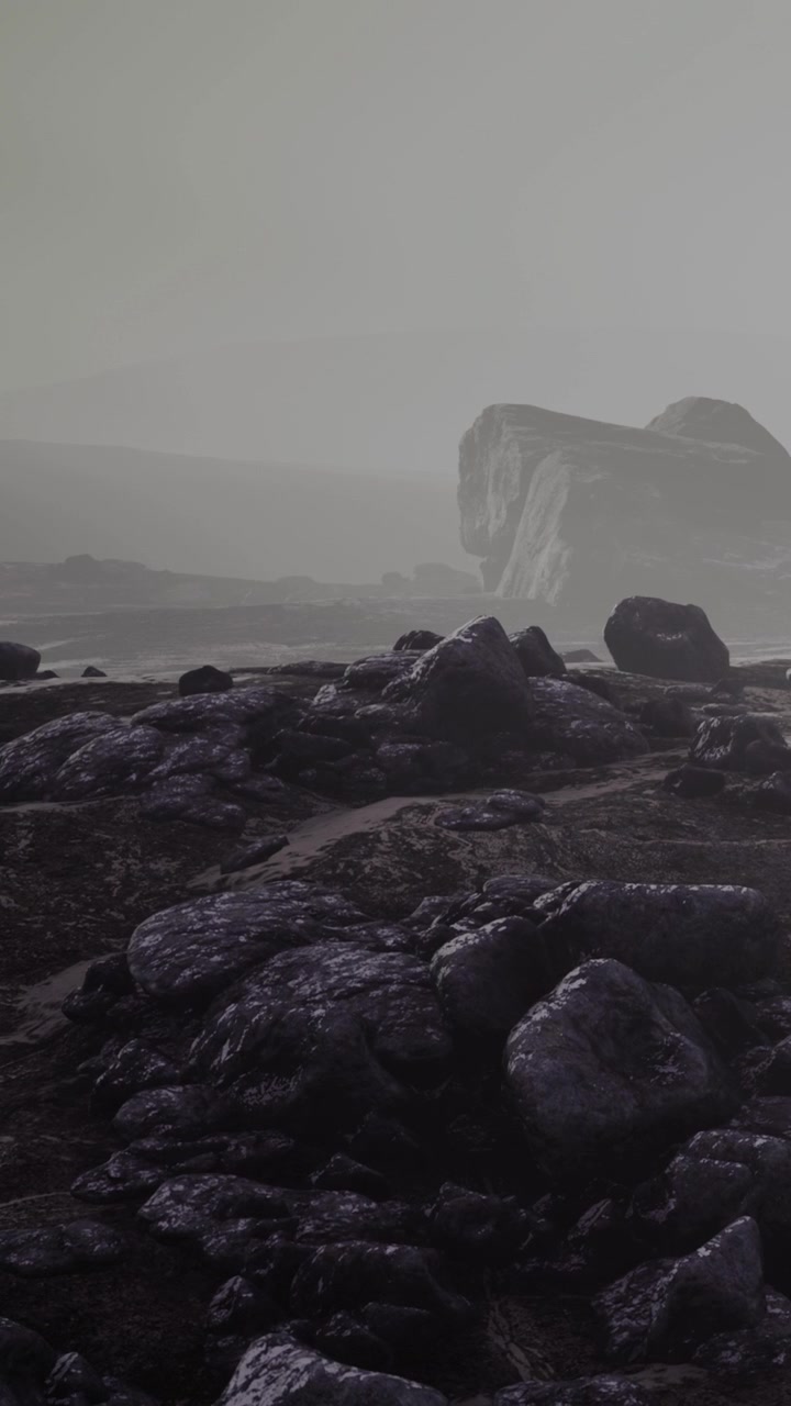 A rocky area shows large stones and small boulders scattered across the ground