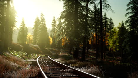 autumn colours along a railway track at sunset