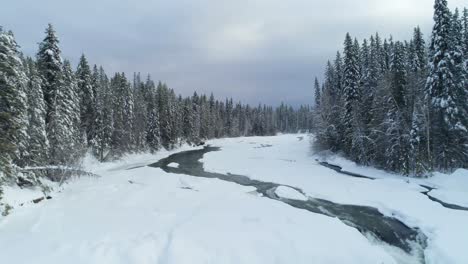 stream flowing through snowy forest 4k