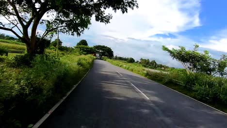 La-Carretera-Asfaltada-Cubierta-De-Un-Denso-Bosque-Verde-Muestra-Una-Imagen-Aislada-Que-Muestra-La-Asombrosa-Belleza