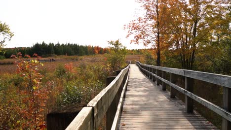 wooden trail for hike during fall season