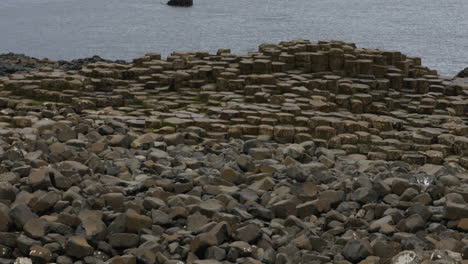 Basaltsäulen-Am-Giant&#39;s-Causeway-In-Der-Grafschaft-Antrim,-Nordirland