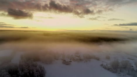 winter landscape with low valley fog over the farm fields and forest at sunrise - aerial flyover