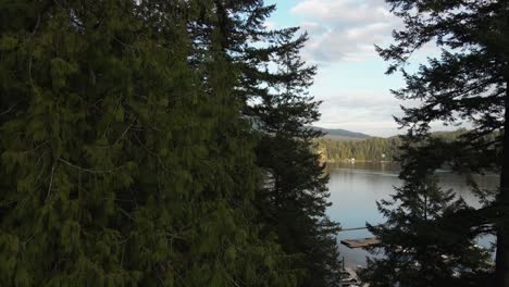 Rising-through-trees-at-a-lake-in-Vancouver,-British-Columbia