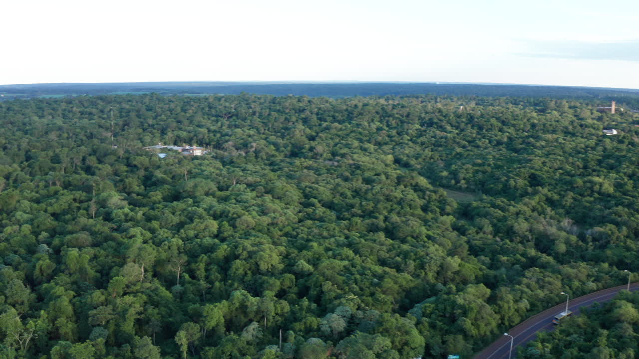 antena - selva y carretera en el parque nacional iguazú, misiones, argentina, plano general
