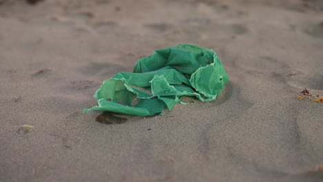 bolsa de plástico en la arena de la playa