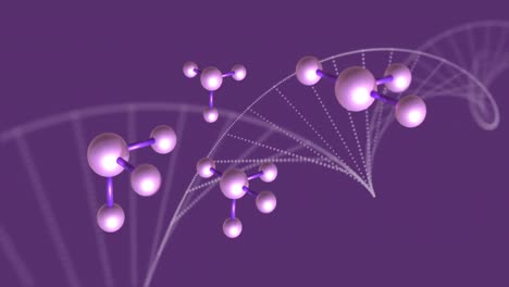 Molecular-structures-and-dna-strand-over-purple-background