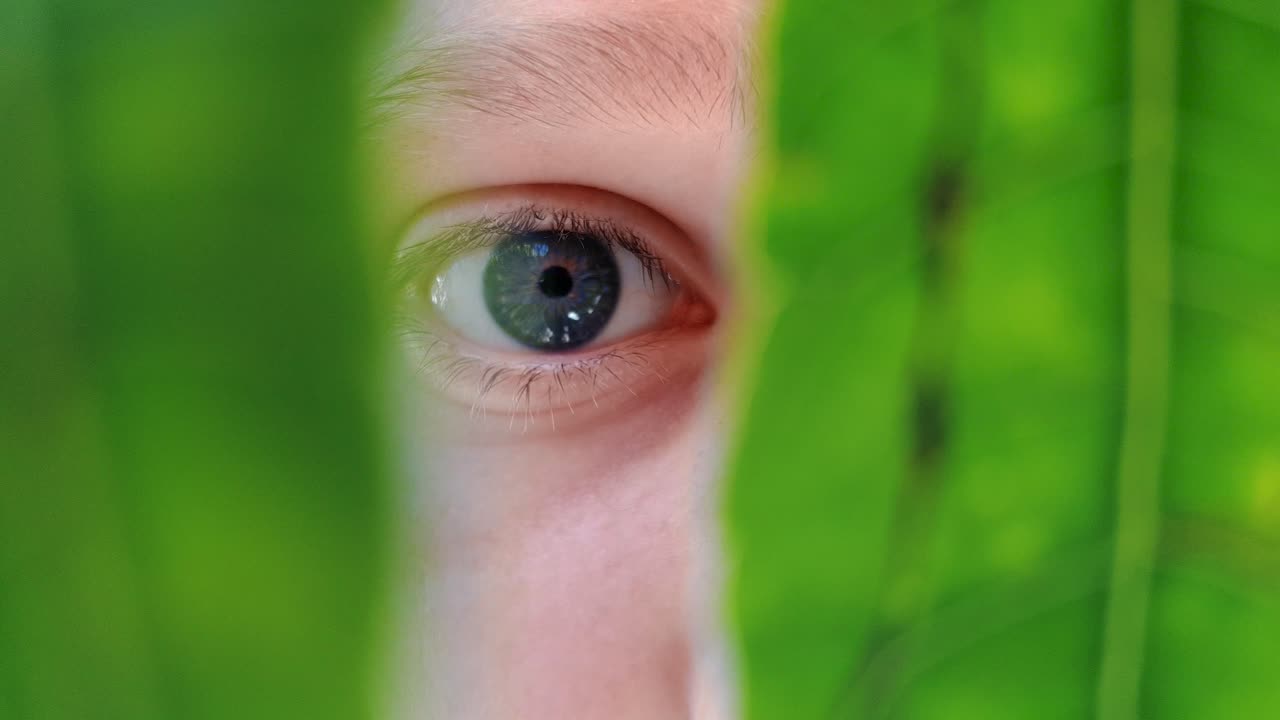 푸른 눈의 매크로 은 초록색 잎을 들여다보면서 충격적인 것을 보고 있습니다.