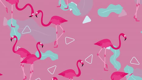 surrealistas y minimalistas flamencos de fantasía y hojas y formas triangulares