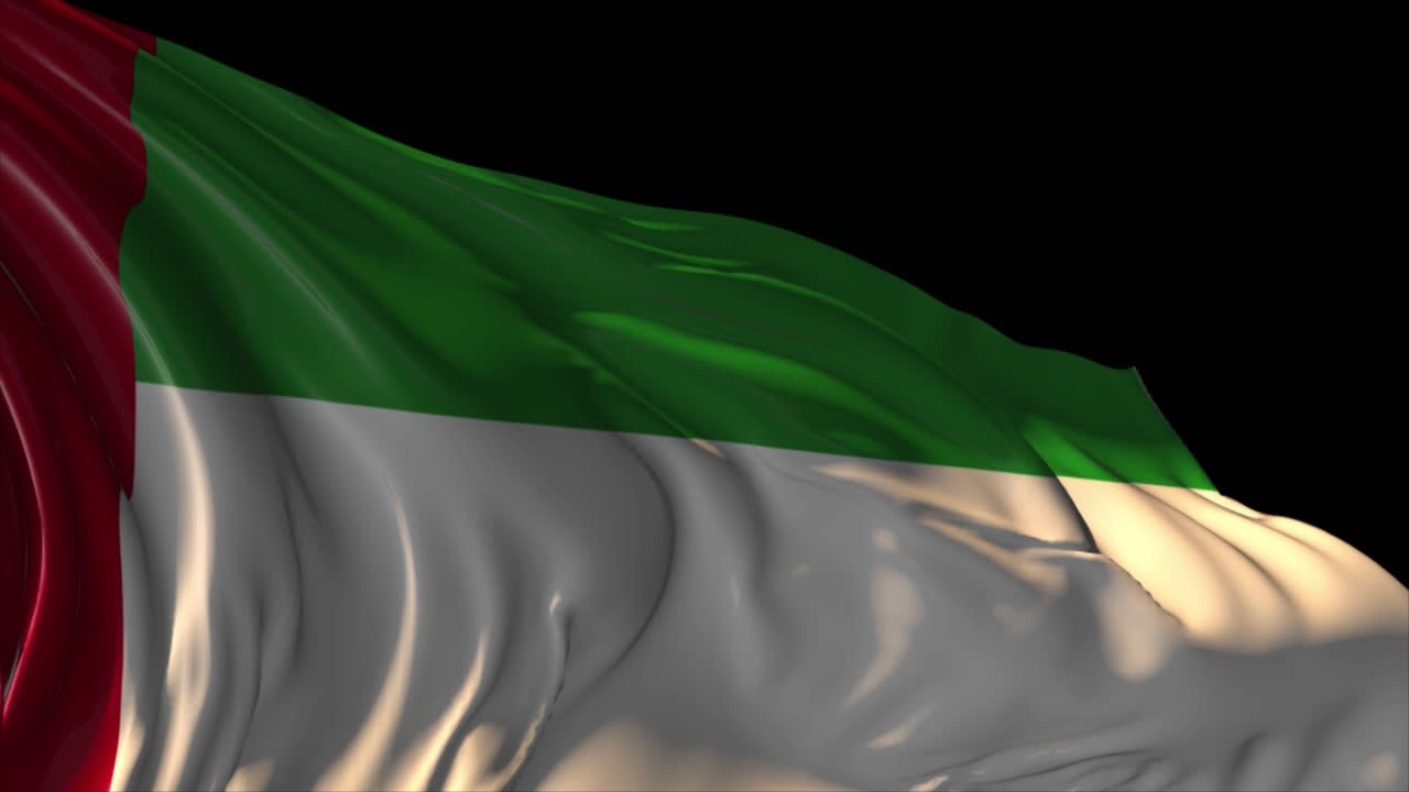 UAE Flag Waving