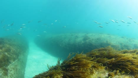 the construction of a new artificial reef