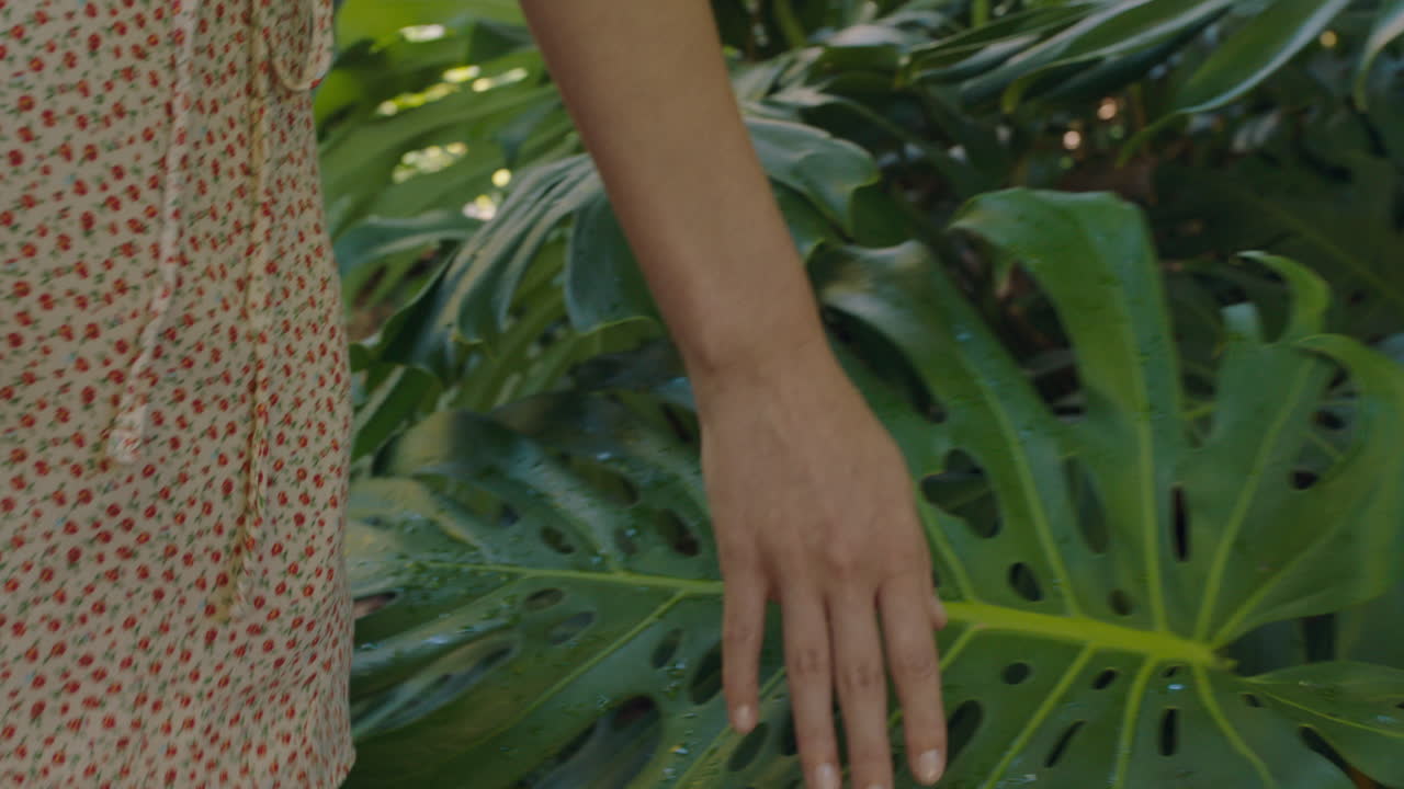 la mano de la mujer tocando las plantas en el bosque explorando la exuberante belleza natural en el jardín 4k