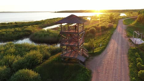 girl watching golden sunrise from wetland birding hide observation tower aerial rising pull back