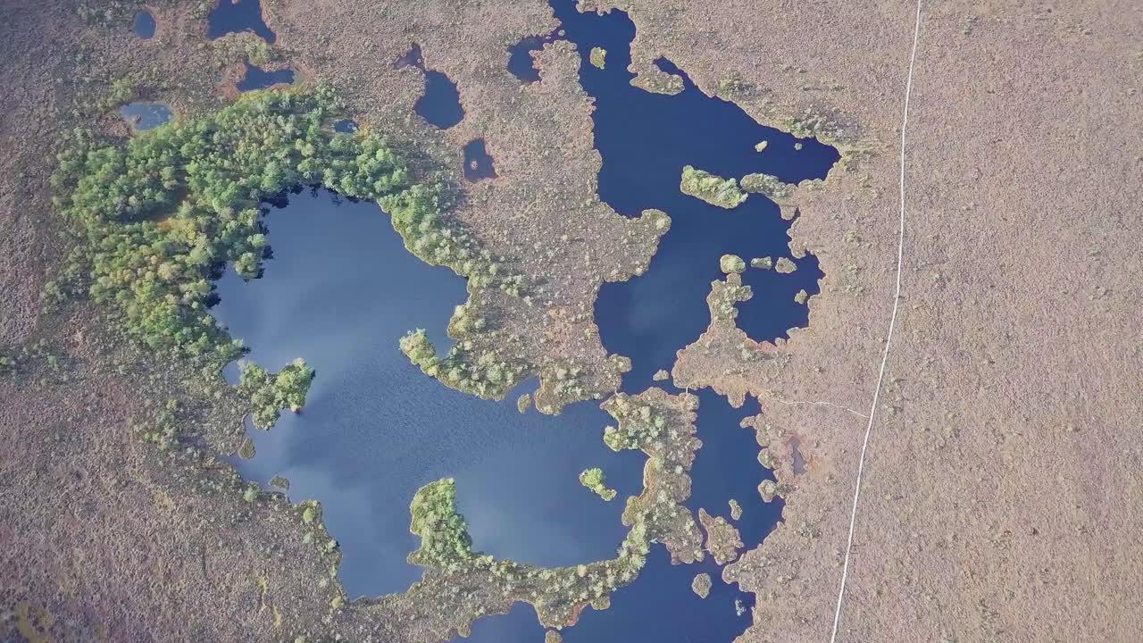 hermosa vista aérea de pájaro del paisaje pantanoso con