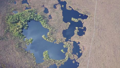 beautiful aerial birdseye view of bog landscape with