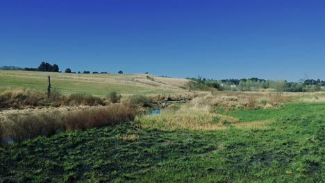 aerial view footage of a swamp lake river with green grass in a rural area of south africa